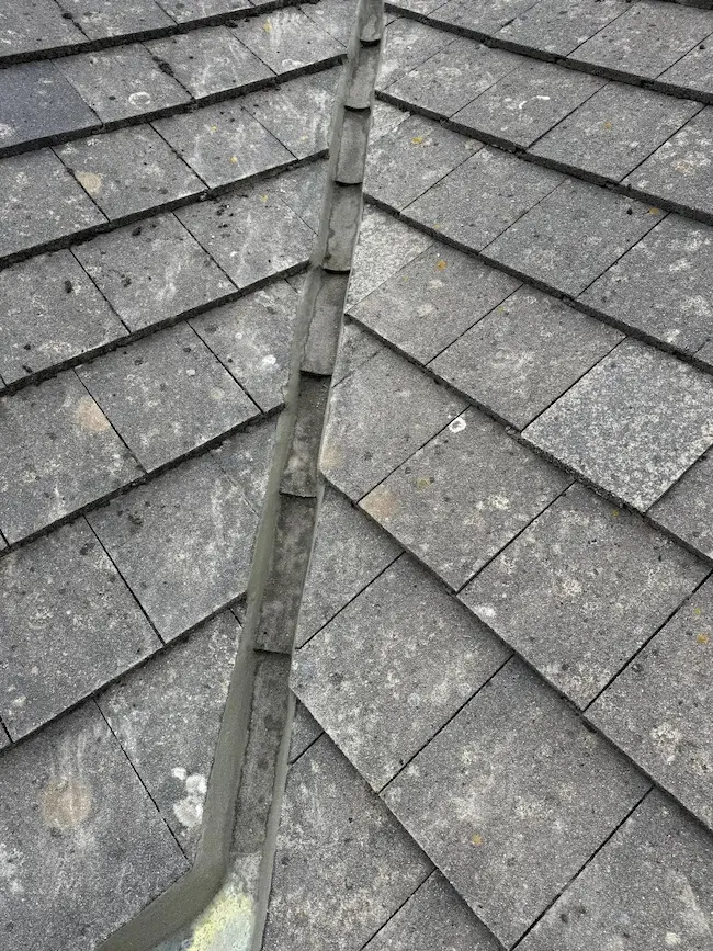 Roofing Project 8